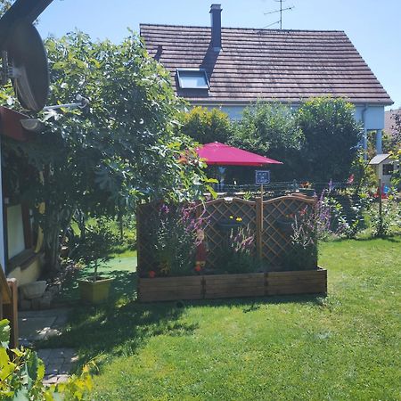 Gite Alsace Appenwihr Екстериор снимка