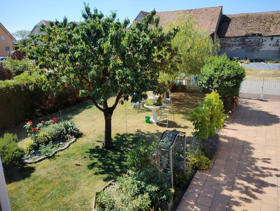 Gite Alsace Appenwihr Екстериор снимка