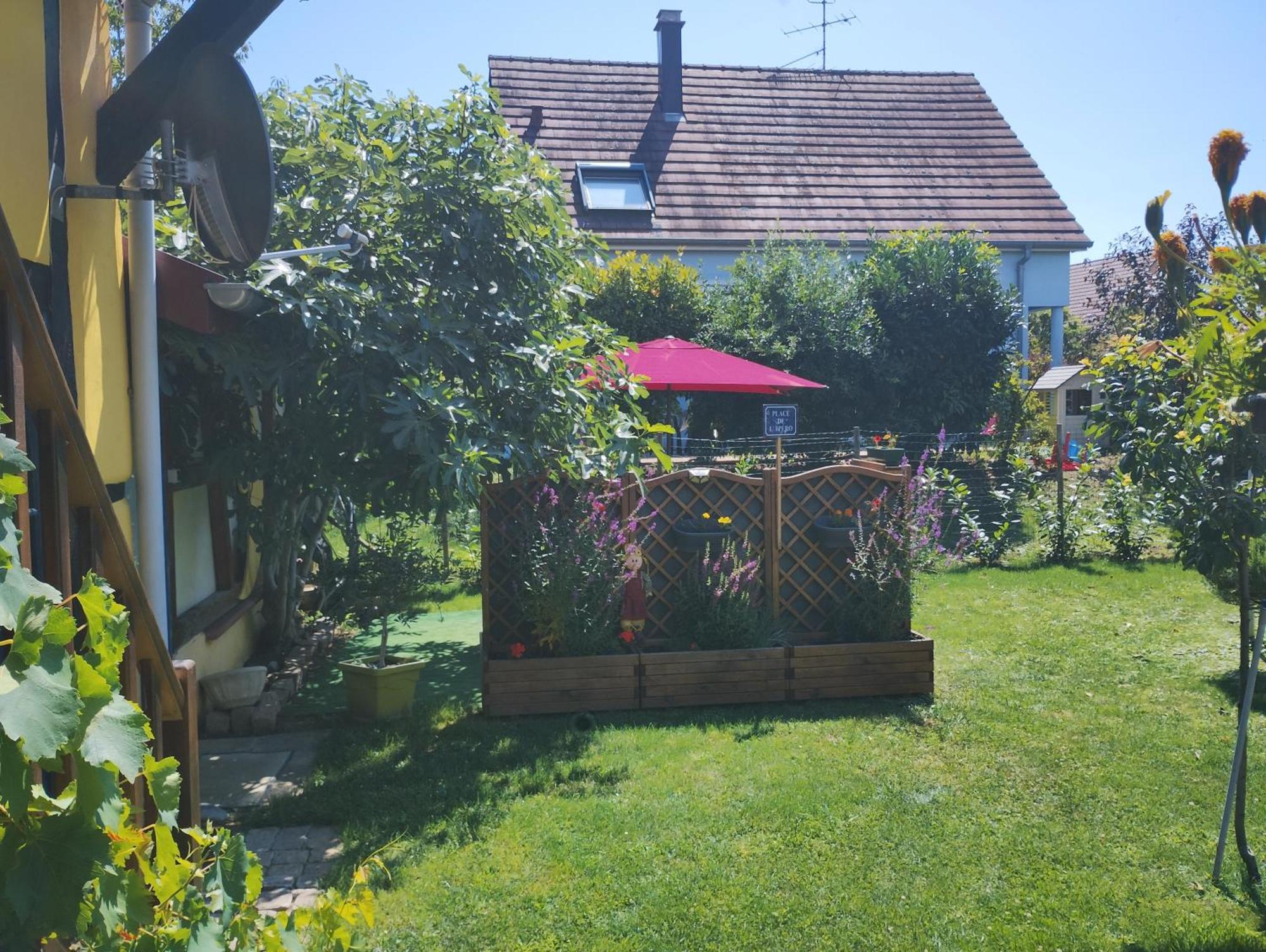Gite Alsace Appenwihr Екстериор снимка